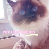 Telegram profile photo for ♡ᴘᴇᴛ ᴄᴏɴꜰᴇssɪᴏɴ{🤍🍰}