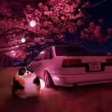 Telegram profile photo for Я и он