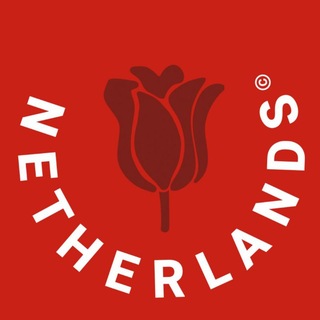 Telegram profile photo for Нідерланди Netherlands Нидерланды Голландия + Амстердам