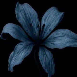 Telegram profile photo for 💙𓏲 ๋࣭ ࣪ ˖