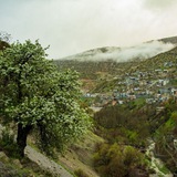Telegram profile photo for کانال شورای شهر باینگان