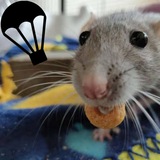 Telegram profile photo for RATz-ZONE