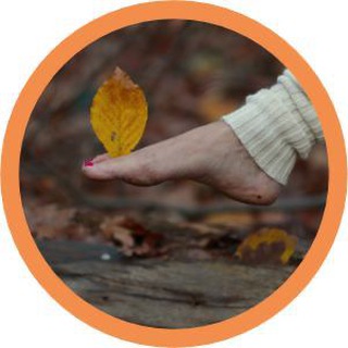 Telegram profile photo for WaldundSein - Groundings