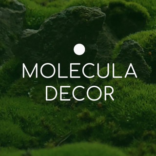 Telegram profile photo for MOLECULA DECOR