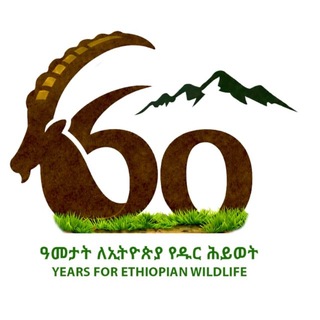 Telegram profile photo for ewca_eth