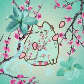 Telegram profile photo for 𝓢𝓽𝓪𝓻𝓼 𝓯𝓻𝓸𝓶 𝓹𝔂𝓬𝓱𝓲𝓷 ¹🦋