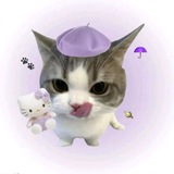 Telegram profile photo for lf active admin