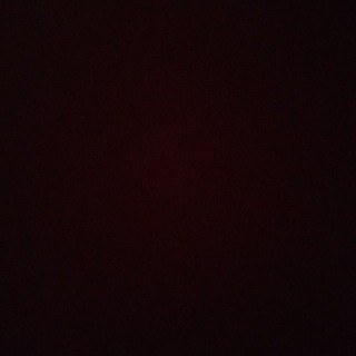 Telegram profile photo for SS1