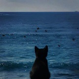 Telegram profile photo for OCEAN'S : TELEPREM, TELESTARS, APP'S PREM, NOKOS, JASEB OPEN