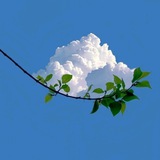 Telegram profile photo for غَيْمَة☁️🩵🌱