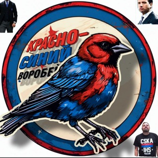 Telegram profile photo for 👏Красно-синий воробей👏