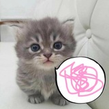 Telegram profile photo for оставь надежду, всяк сюда входящий