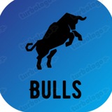 Telegram profile photo for 🇷🇺 Fc Bulls|Официальный канал🔵⚪