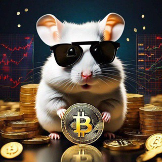 Telegram profile photo for درامد دلاری | ایردراپ | پروکسی