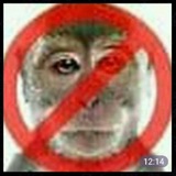 Telegram profile photo for ДодепПон