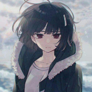 Telegram profile photo for Tsubaki Team | محافظ