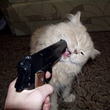 Telegram profile photo for zolton познает ton