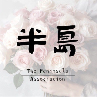 Telegram profile photo for 杭州半岛新人工兵频道