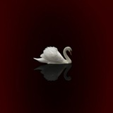 Telegram profile photo for ذُل