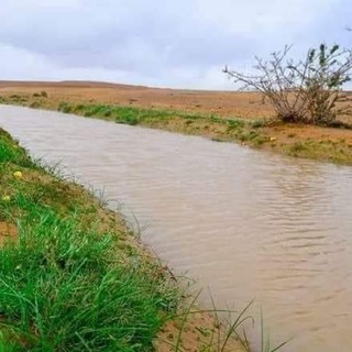 Telegram profile photo for بادية السلمان في العراق، مكشات بادية السماوة، البر، فقع، الشبكة، بصيه، حباري، فيضة، هدانيه، شاويه، امطار، الشعيب، صيد، كطا، دراج