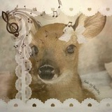 Telegram profile photo for 𝐓𝐡𝐞 𝐥𝐨𝐫𝐞