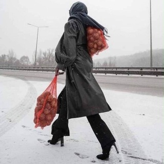 Telegram profile photo for Депеша с характером