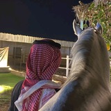 Telegram profile photo for مِـراء