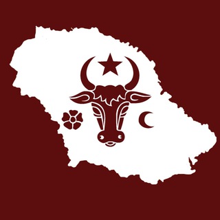 Telegram profile photo for Moldova Eternă