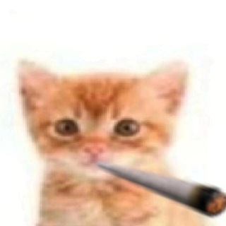 Telegram profile photo for ???