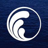 Telegram profile photo for SeaFusion Labs