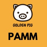 Telegram profile photo for Golden Pig - PAMM