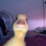 Telegram profile photo for Skeppy1337