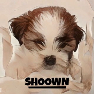Telegram profile photo for SHOOWN 💯X GEMS