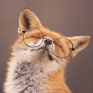 Telegram profile photo for Смерть в блёстках✨