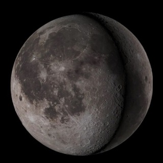 Telegram profile photo for Moon