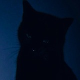 Telegram profile photo for 𝘚𝘢𝘭𝘭𝘺'𝘴 𝘢𝘳𝘵𝘪𝘴𝘵𝘪𝘤 𝘱𝘭𝘢𝘤𝘦!