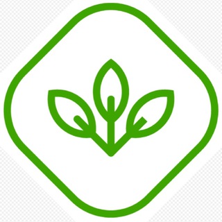 Telegram profile photo for 🌿 JARDINERIA PGARDENS