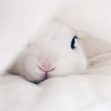 Telegram profile photo for +169-76 °﹢forever. 💕
