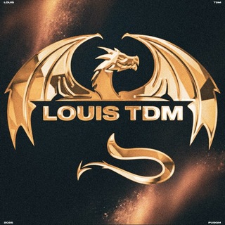 Telegram profile photo for LOUIS TDM