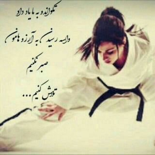 Telegram profile photo for تکواندو آراد