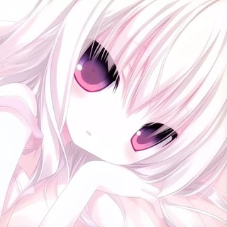 Telegram profile photo for 鹤清封号主频