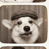 Telegram profile photo for Барни Беляшкин