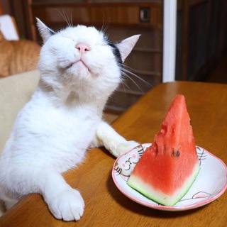 Telegram profile photo for cringыня