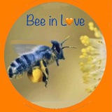 Telegram profile photo for bee✨in✨love 🐝