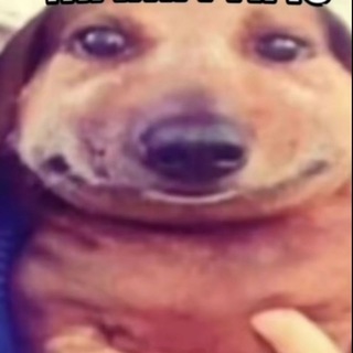 Telegram profile photo for твинкс бро
