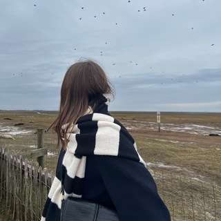 Telegram profile photo for studylingua