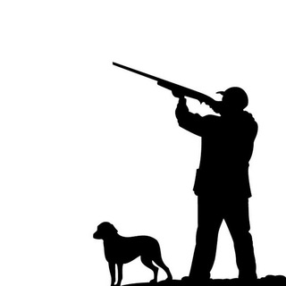 Telegram profile photo for hunter airdrop