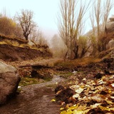 Telegram profile photo for کانال رسمی روستای وش