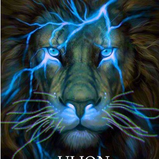 Telegram profile photo for U Lion SCOMMESSE ITALIA