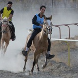 Telegram profile photo for اســبـــ یــورغــه خــراسـان رضـوی